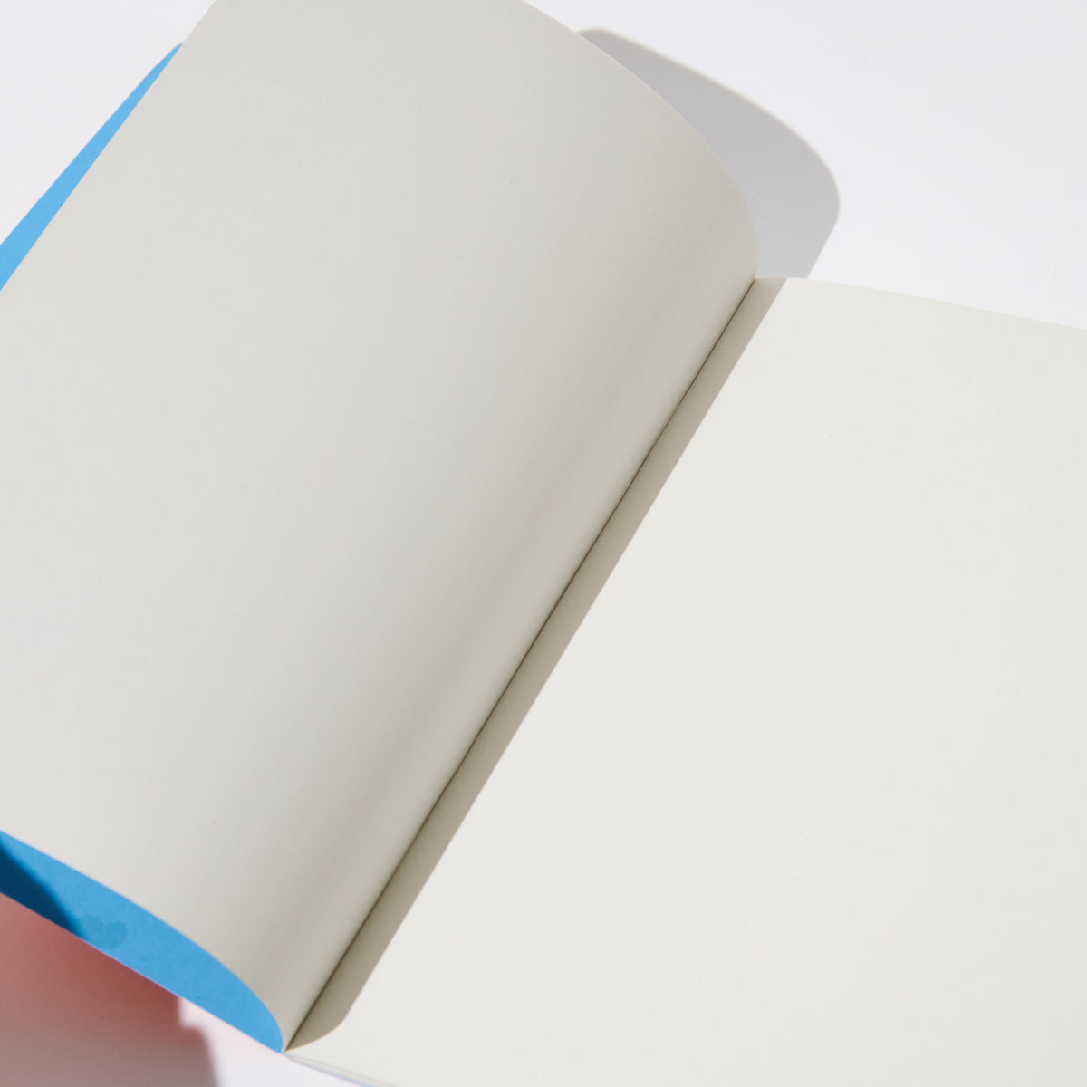 Journal
